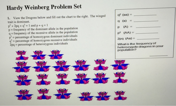 Hardy weinberg problem set answer key