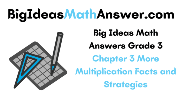 Big ideas math chapter 3 answers