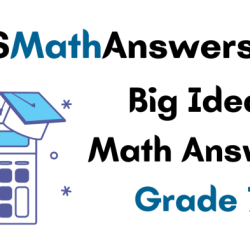 Big ideas math chapter 3 answers