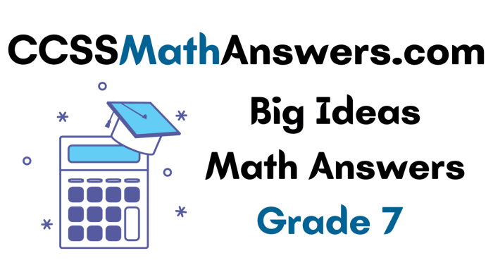 Big ideas math chapter 3 answers