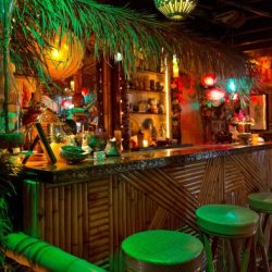 Tiki shasta tropical details sweepstakes