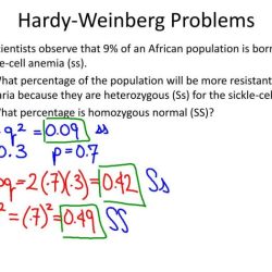 Hardy weinberg