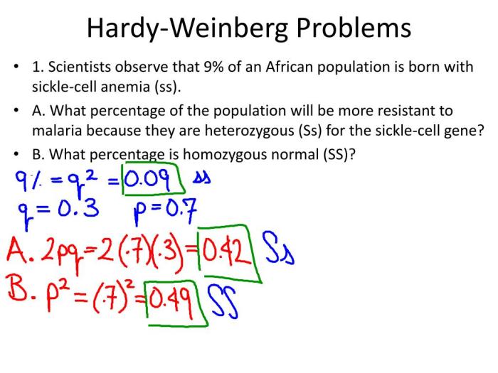 Hardy weinberg