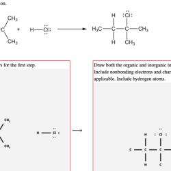 Organic and inorganic intermediate species