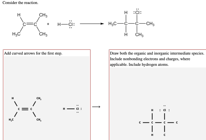 Organic and inorganic intermediate species