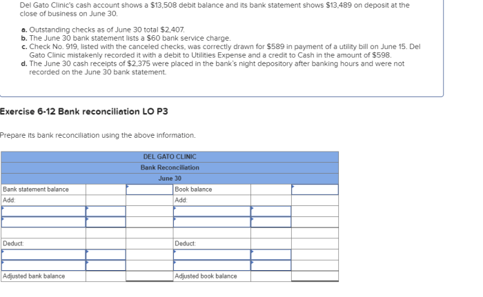 Del gato clinic's cash account shows