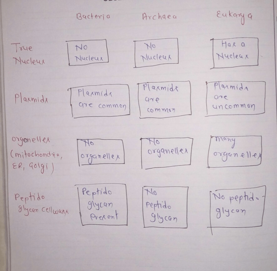 Complete the following chart concerning bacteria archaea and eukaryotic cells