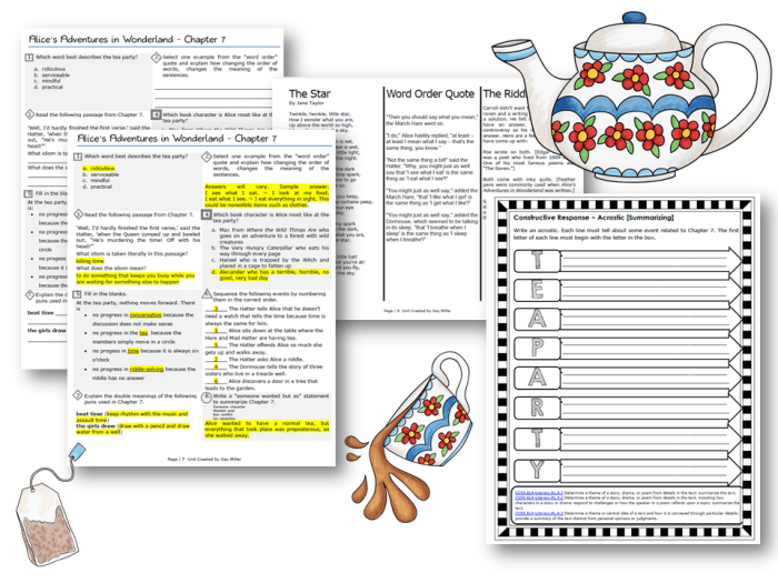 Alice in wonderland chapter 6 questions and answers pdf