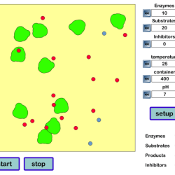 Simulation investigating reaction rates answer key