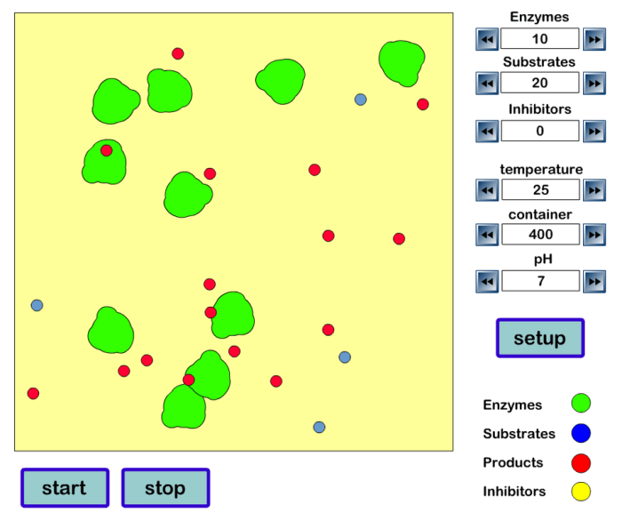 Simulation investigating reaction rates answer key