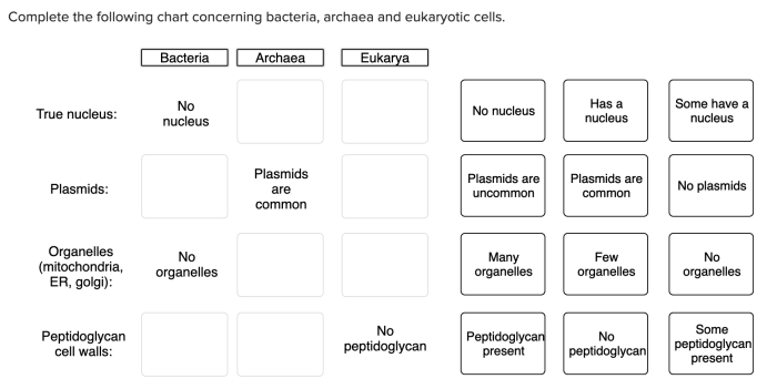 Complete the following chart concerning bacteria archaea and eukaryotic cells